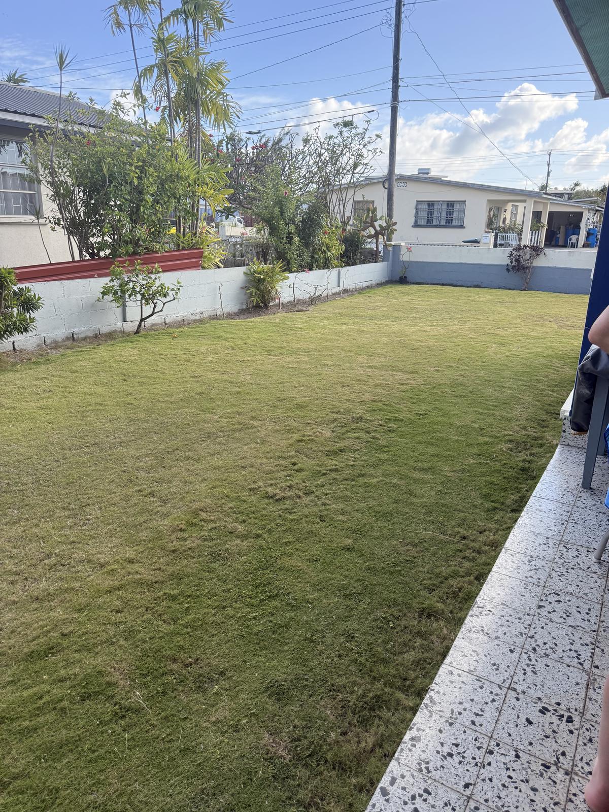 The side lawn at Kenmar